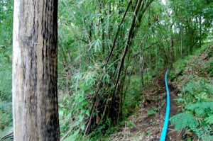 pole-trench