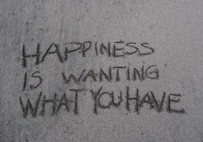 happiness happiness
