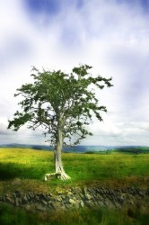 dreamstime_32886