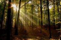 dreamstime_6808555