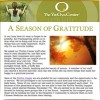 gratitude