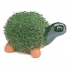 chia-pet.jpg