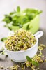 food sprouts