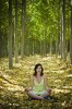 meditate