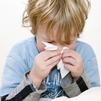 Sneeze
