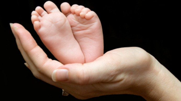 Five week old baby feet held in mothers hand.