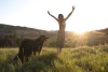 grateful woman and dog