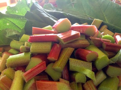 Stewing rhubarb