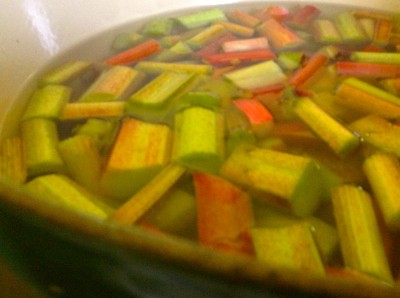 Stewing rhubarb