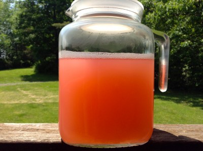 Rhubarb juice