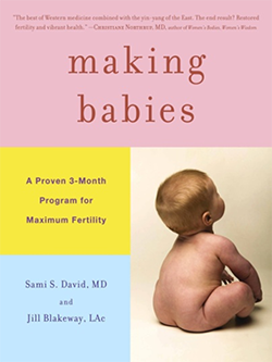jillblakeway-makingbabies-book making babies, jill blakeway