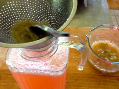 Rhubarb Juice Recipe