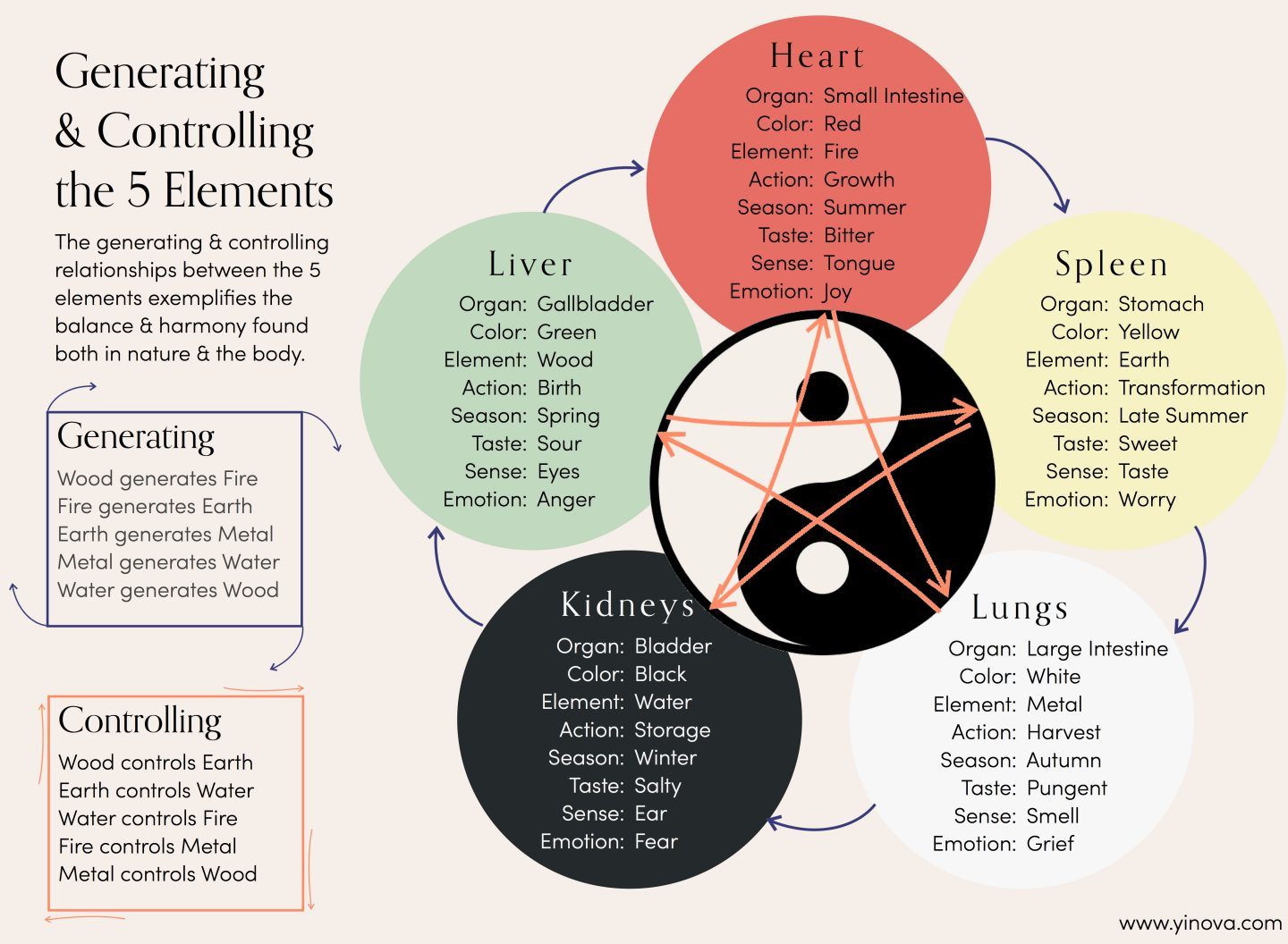 A Deeper Look at Grief from a Chinese Medicine Perspective | The Yinova ...